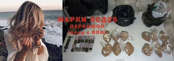гашик Горно-Алтайск